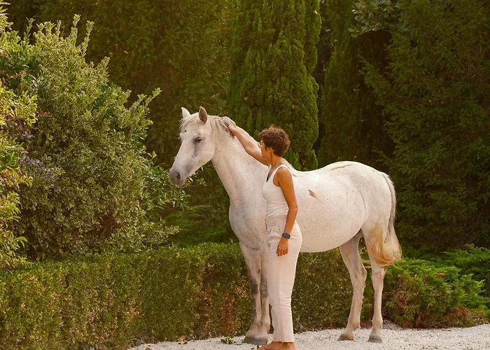 Le Domaine De Camboyer, The Originals Collection